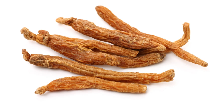 فوائد الجينسنج الأحمر: سر الحيوية والطاقة الطبيعية من مناحل الثنيان